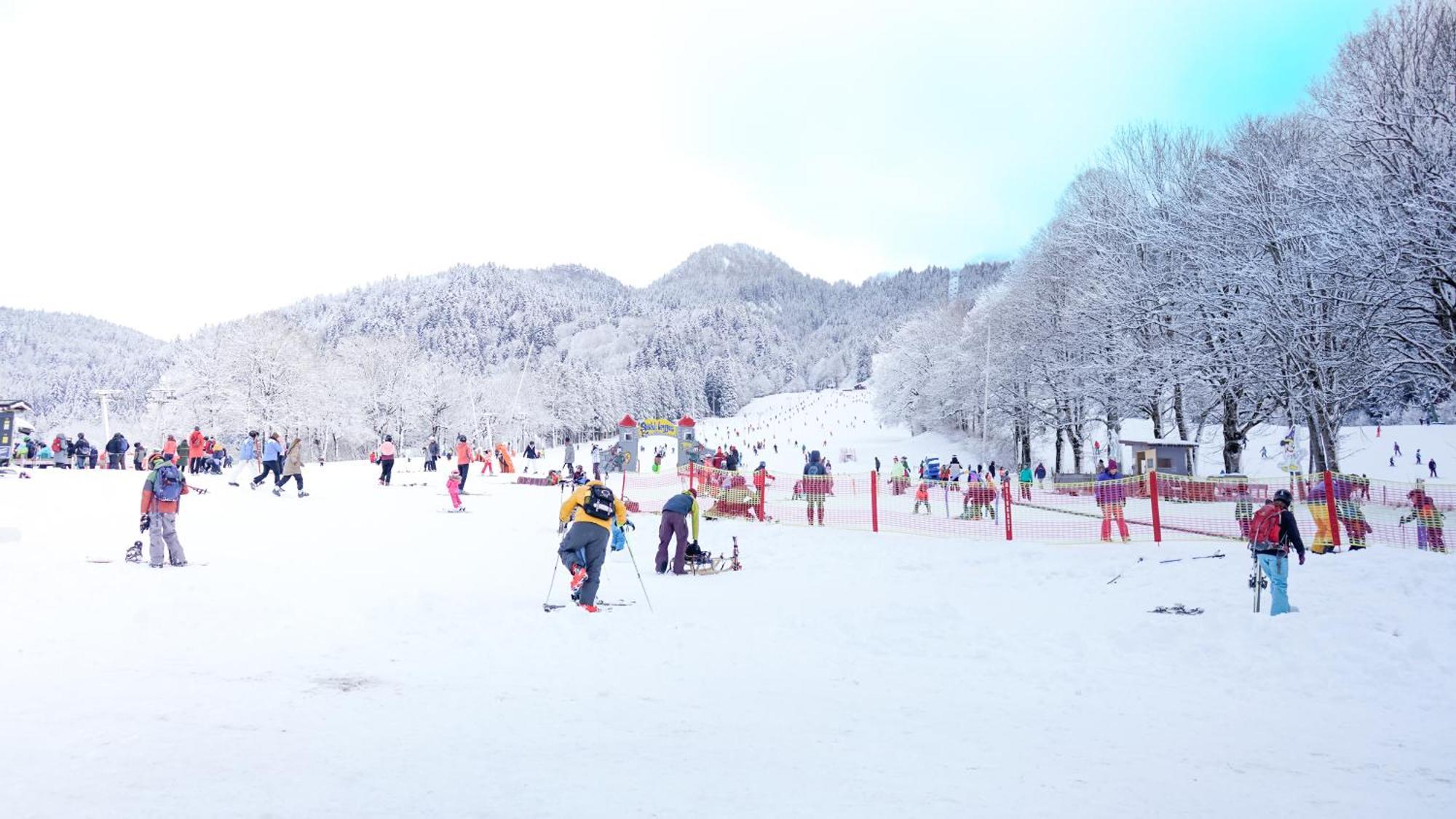 Landgasthof Zum Papyrer - Erholung Im Urlaubsgebiet เลงกรีส ภายนอก รูปภาพ